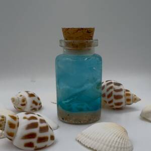 message in a bottle urn zee